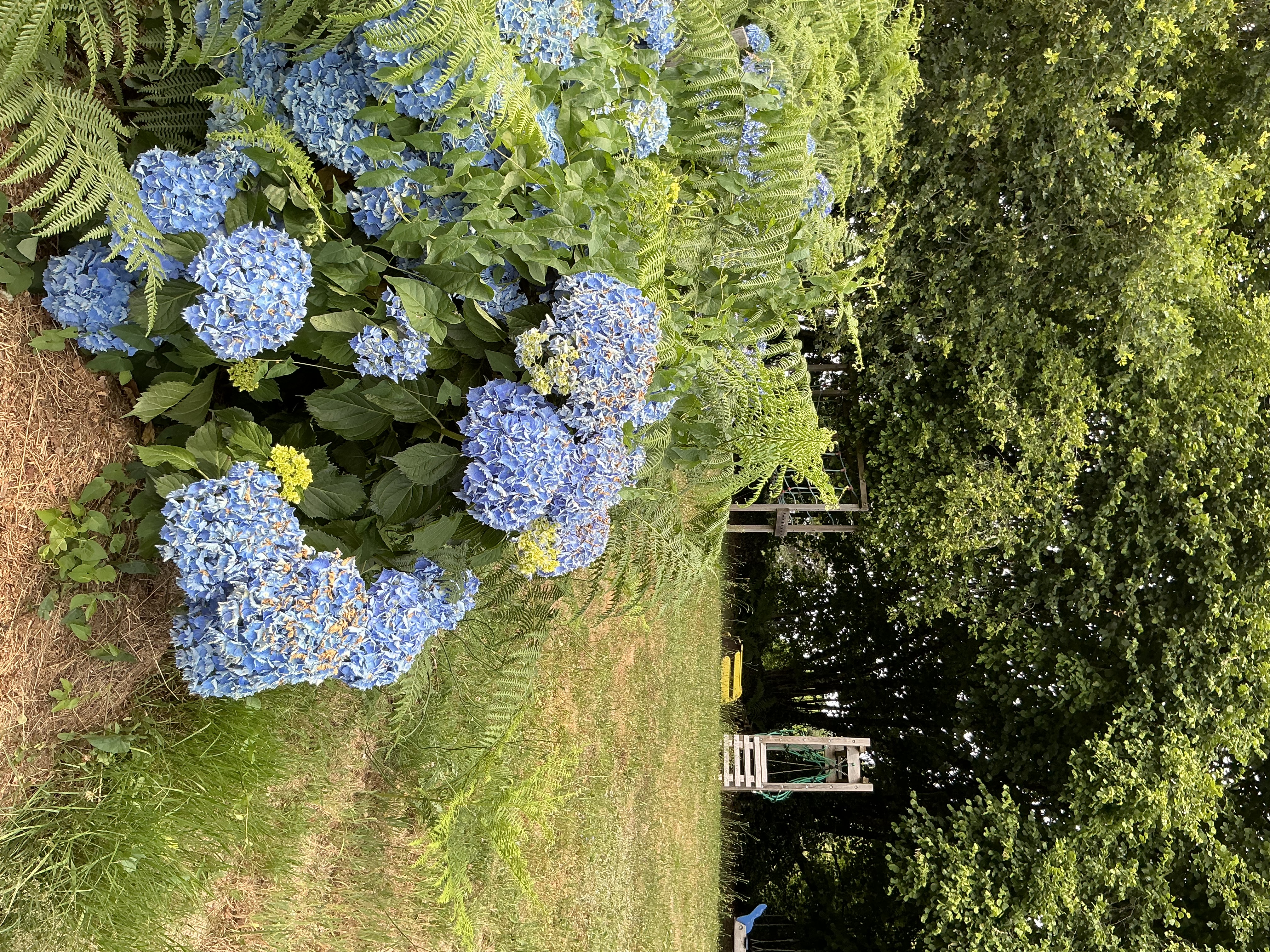 Chalet en bois Le Ruisseau "Les 3 Châtaignes"