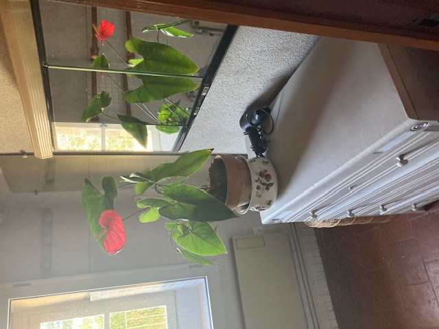 SCI du Ligondès, Chambonchard - photo 11