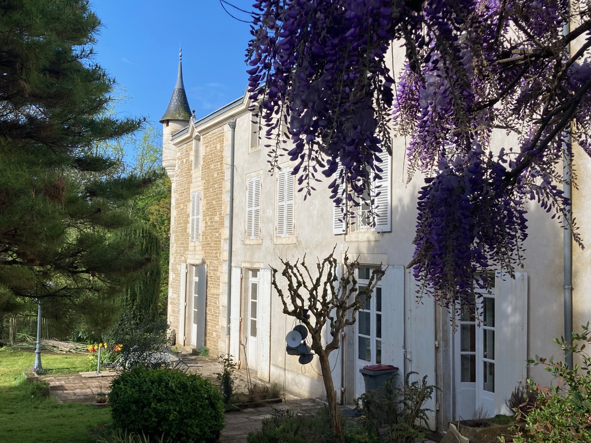 Mazette ! Le Château, Niort - photo 2