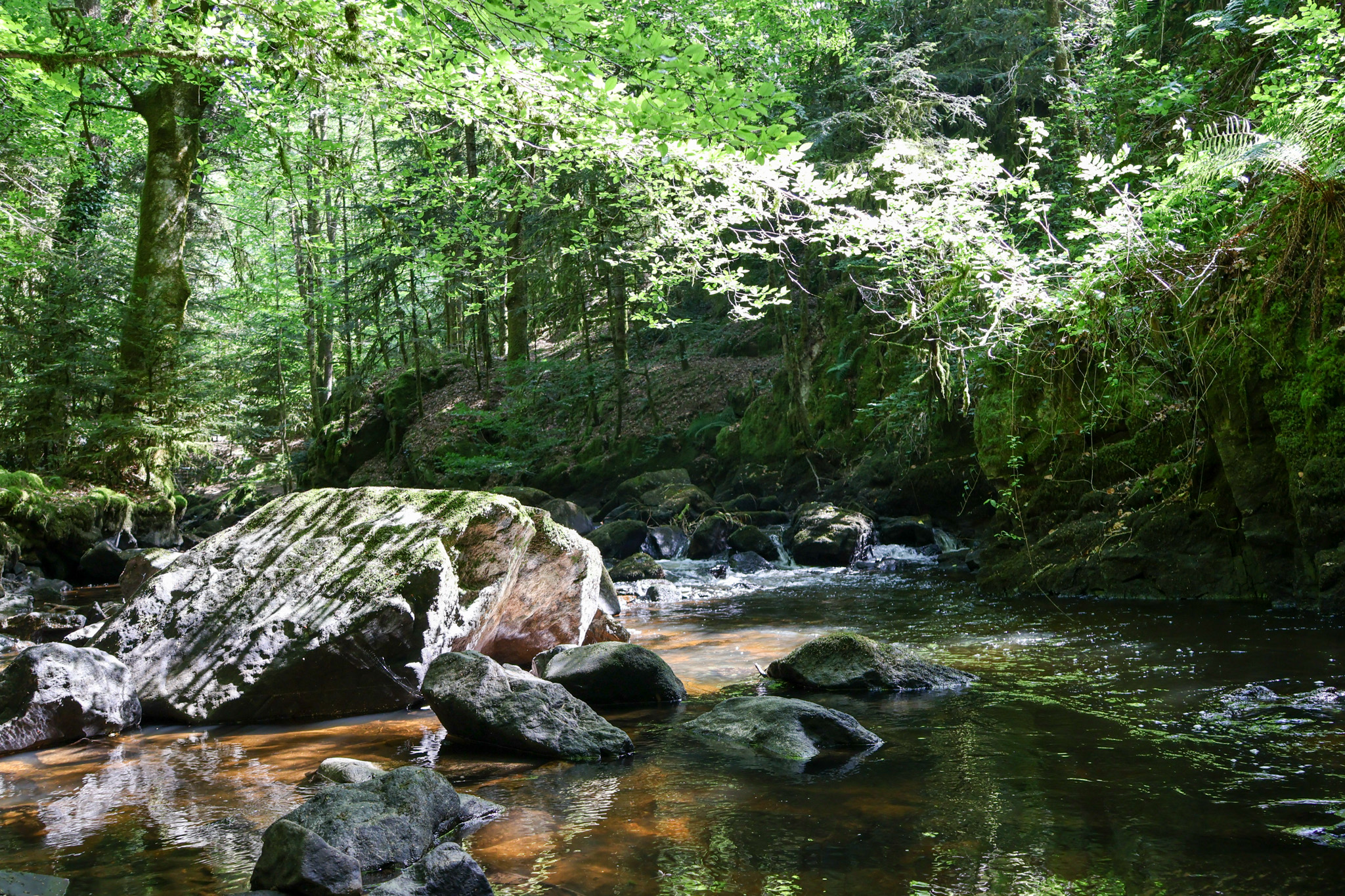 Cascadelles, Gimel-les-Cascades - photo 2