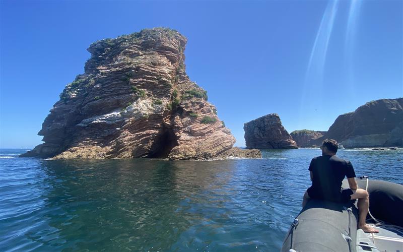 Oceanboat64