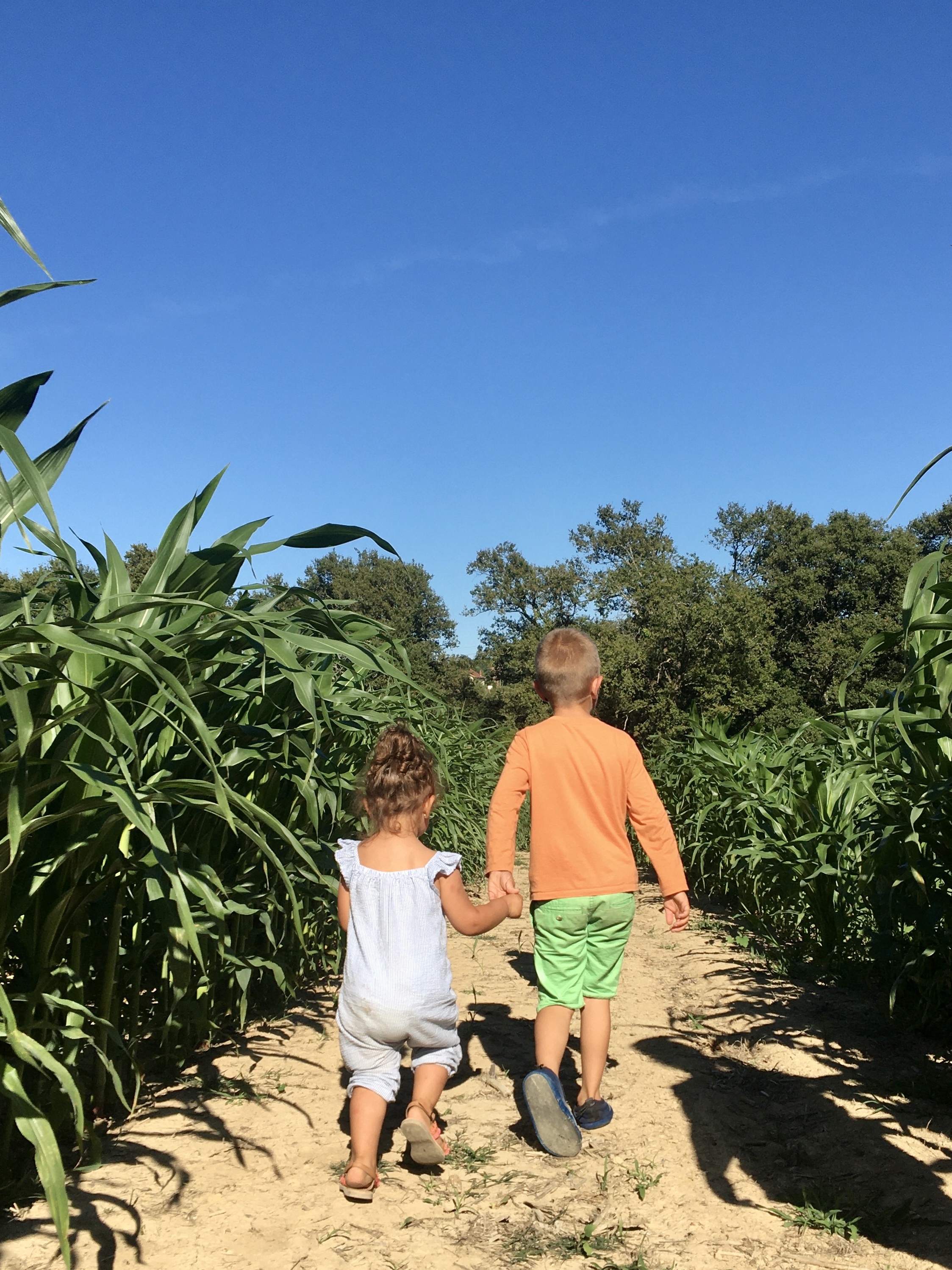 Le labyrinthe de Chalosse