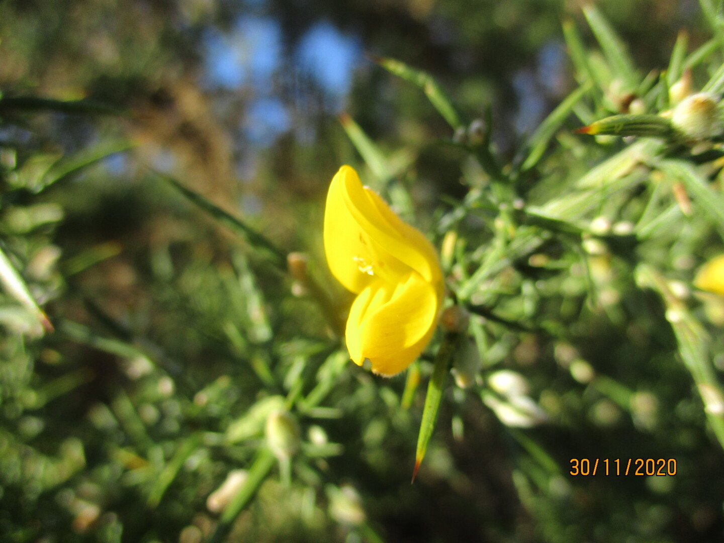 Boucle des fontaines à St Julien de Lampon