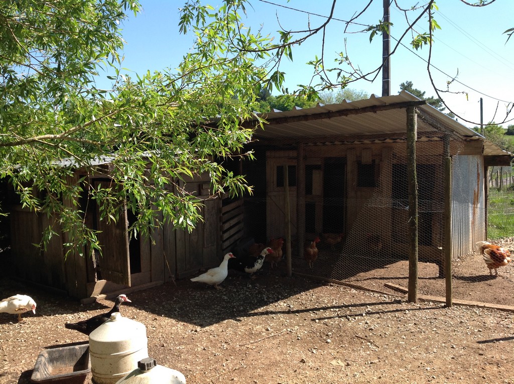 La Ferme de Brossard - Ferme Pédagogique et de Découverte, Lanteuil - photo 3