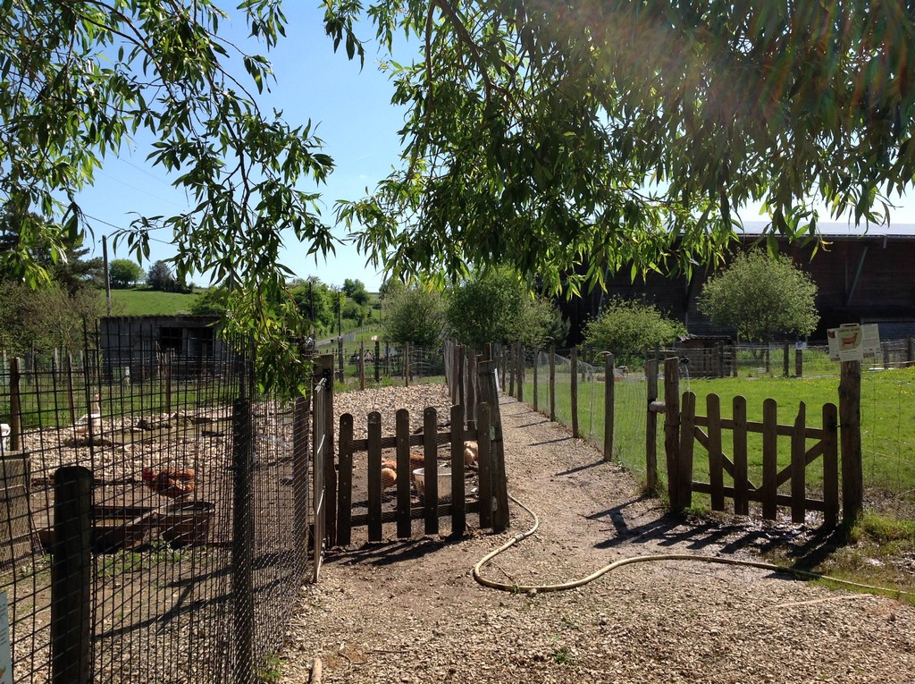 La Ferme de Brossard - Ferme Pédagogique et de Découverte, Lanteuil - photo 16