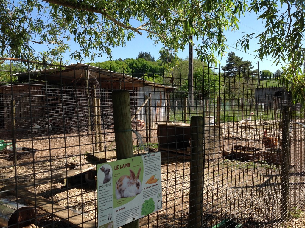 La Ferme de Brossard - Ferme Pédagogique et de Découverte, Lanteuil - photo 4
