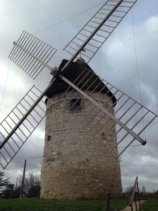 EARL Les Ruchers du Moulin à Vent - photo 2