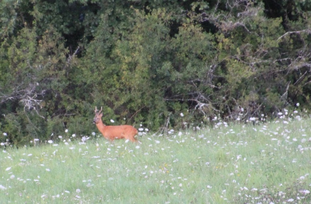 Le Chai de la Tontonière, Saint-Avit-Rivière