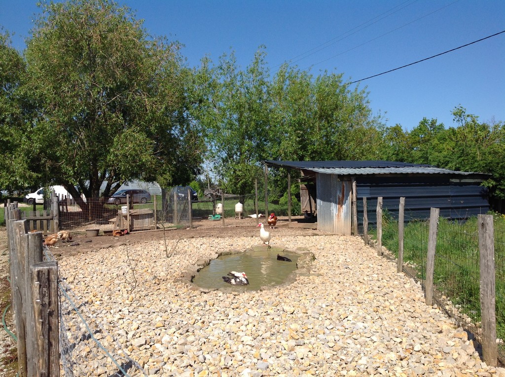 La Ferme de Brossard - Ferme Pédagogique et de Découverte, Lanteuil - photo 5