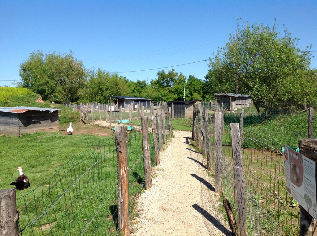 La Ferme de Brossard - Ferme Pédagogique et de Découverte, Lanteuil - photo 6