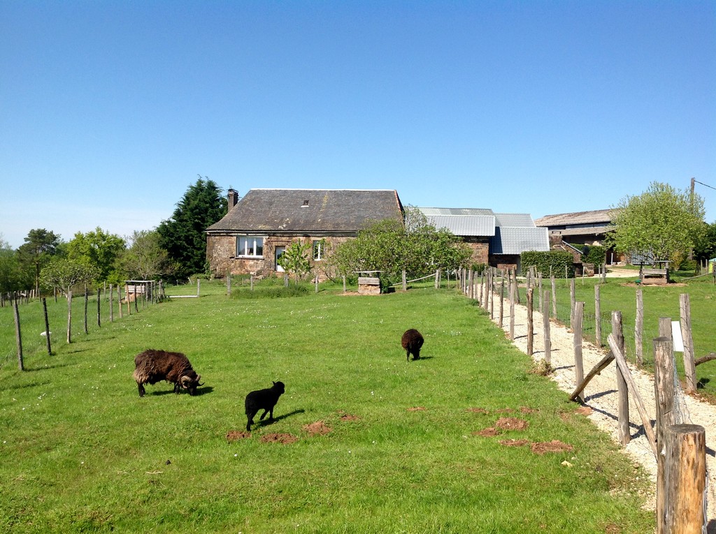 La Ferme de Brossard - Ferme Pédagogique et de Découverte