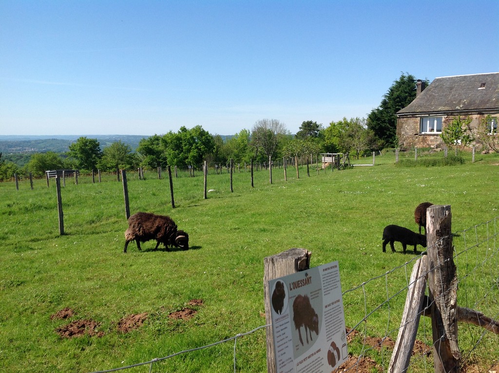 La Ferme de Brossard - Ferme Pédagogique et de Découverte, Lanteuil - photo 8