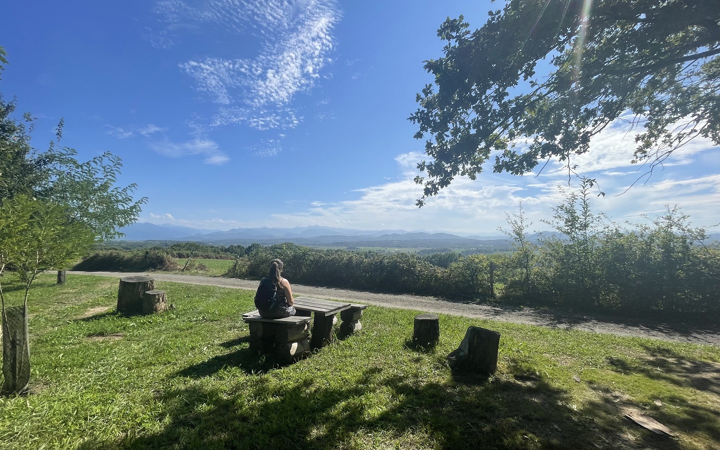 N°93 - Entre gave et coteaux, Saucède - photo 4