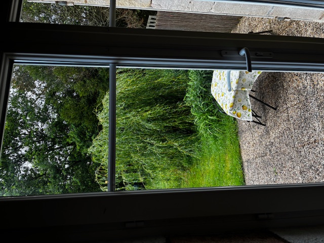 Gîte Le Lys du Camping du Moulin de la Gassotte, Saint-Savin - photo 9