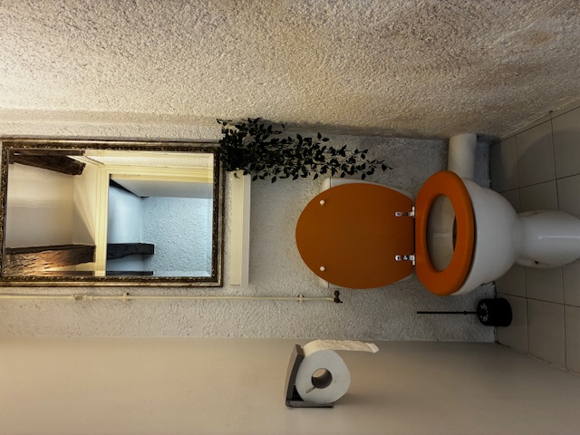 Gîte Le Lys du Camping du Moulin de la Gassotte, Saint-Savin - photo 13