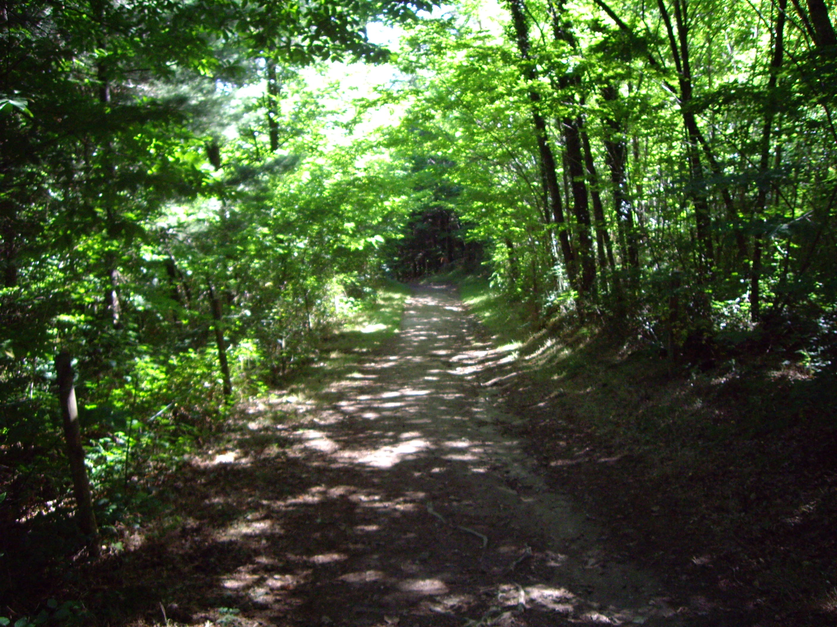 Sentier le Saut du Chalard, Champs-Romain