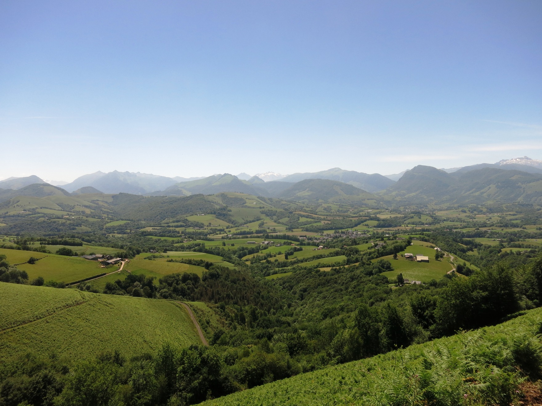 N°7 Barétous - Bois de Gouloume, Aramits - photo 4