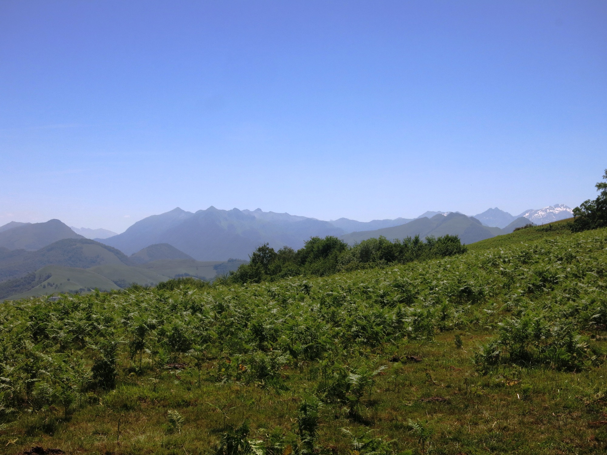 N°7 Barétous - Bois de Gouloume, Aramits - photo 15