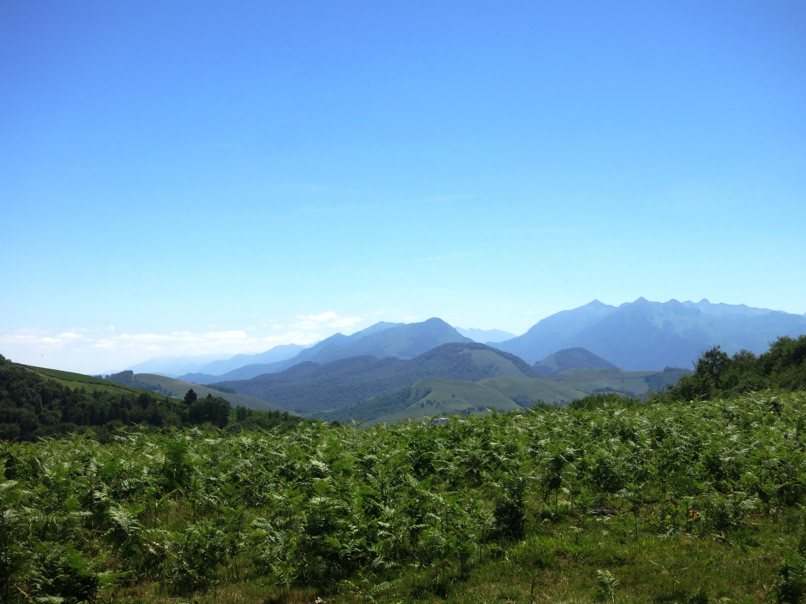 N°7 Barétous - Bois de Gouloume, Aramits - photo 11