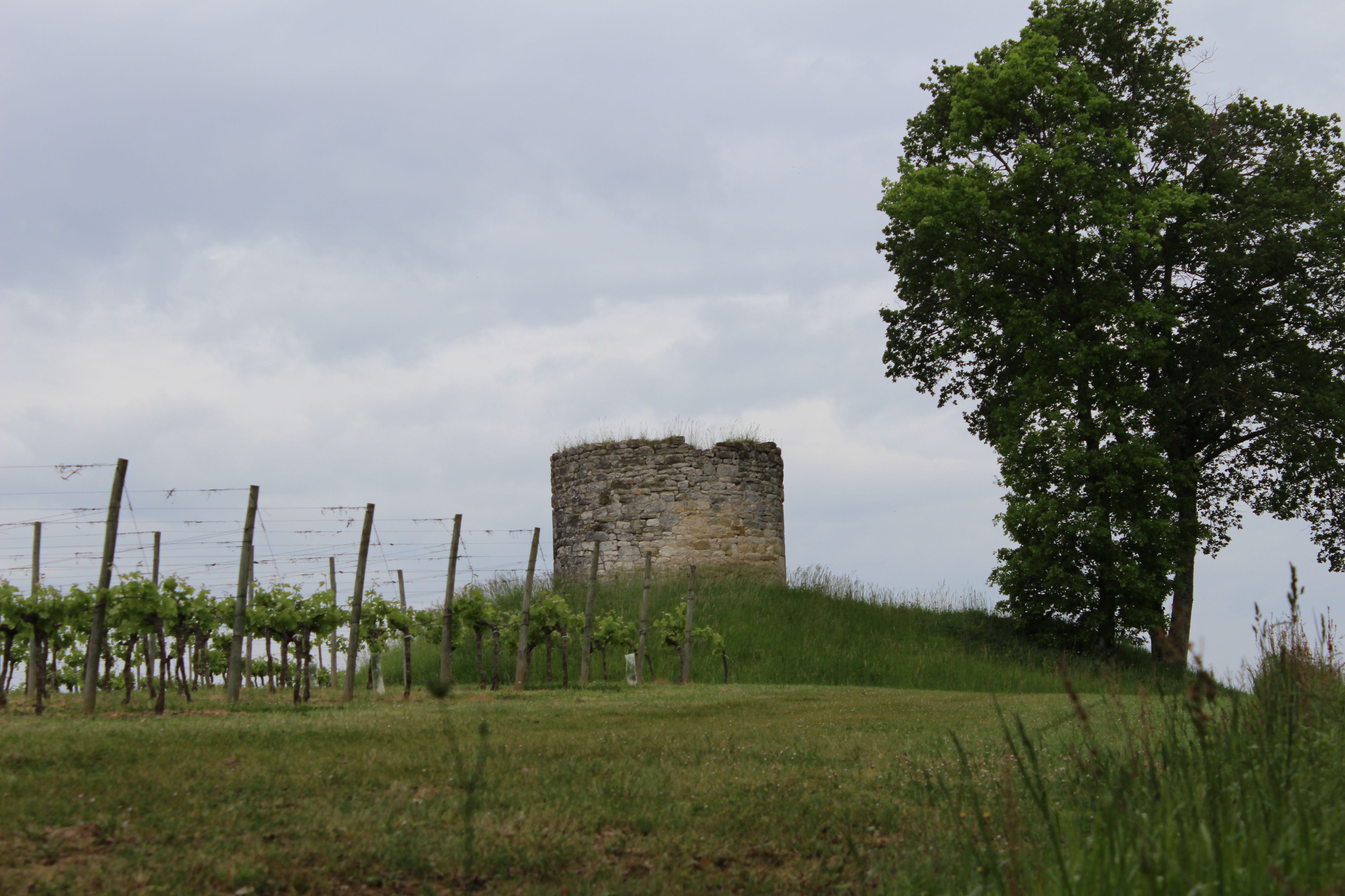 Circuit de la Roquille, La Roquille - photo 4