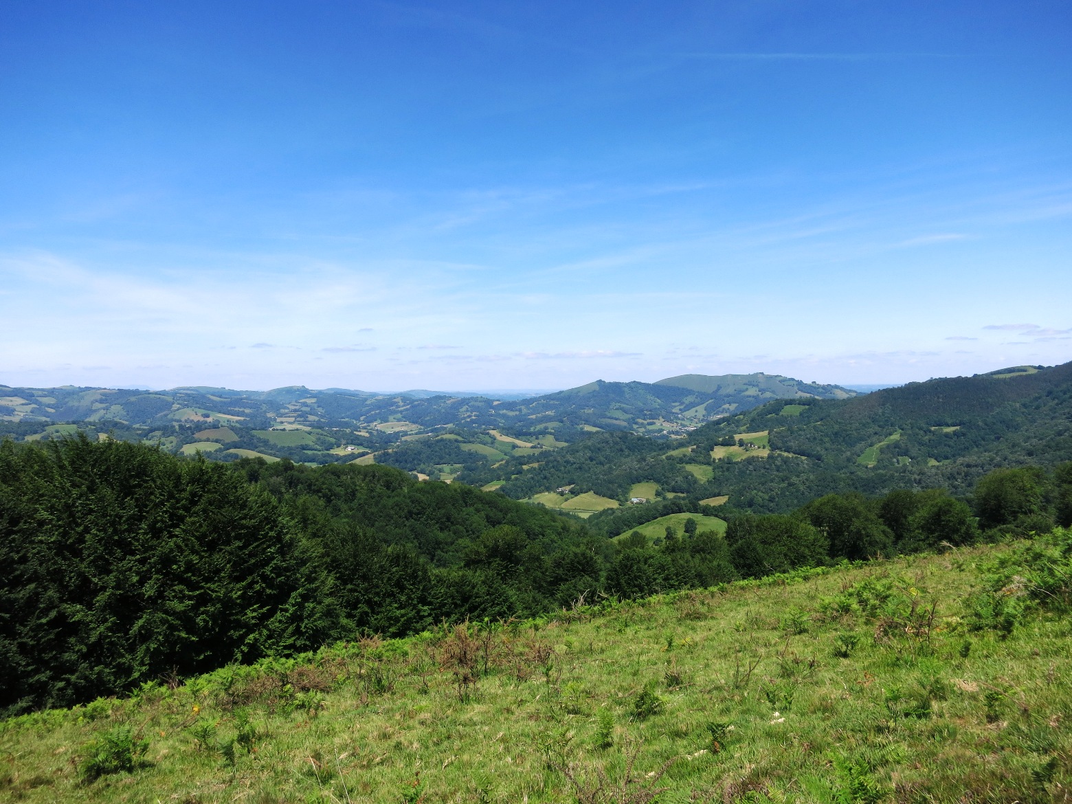 N°7 Barétous - Bois de Gouloume, Aramits - photo 23