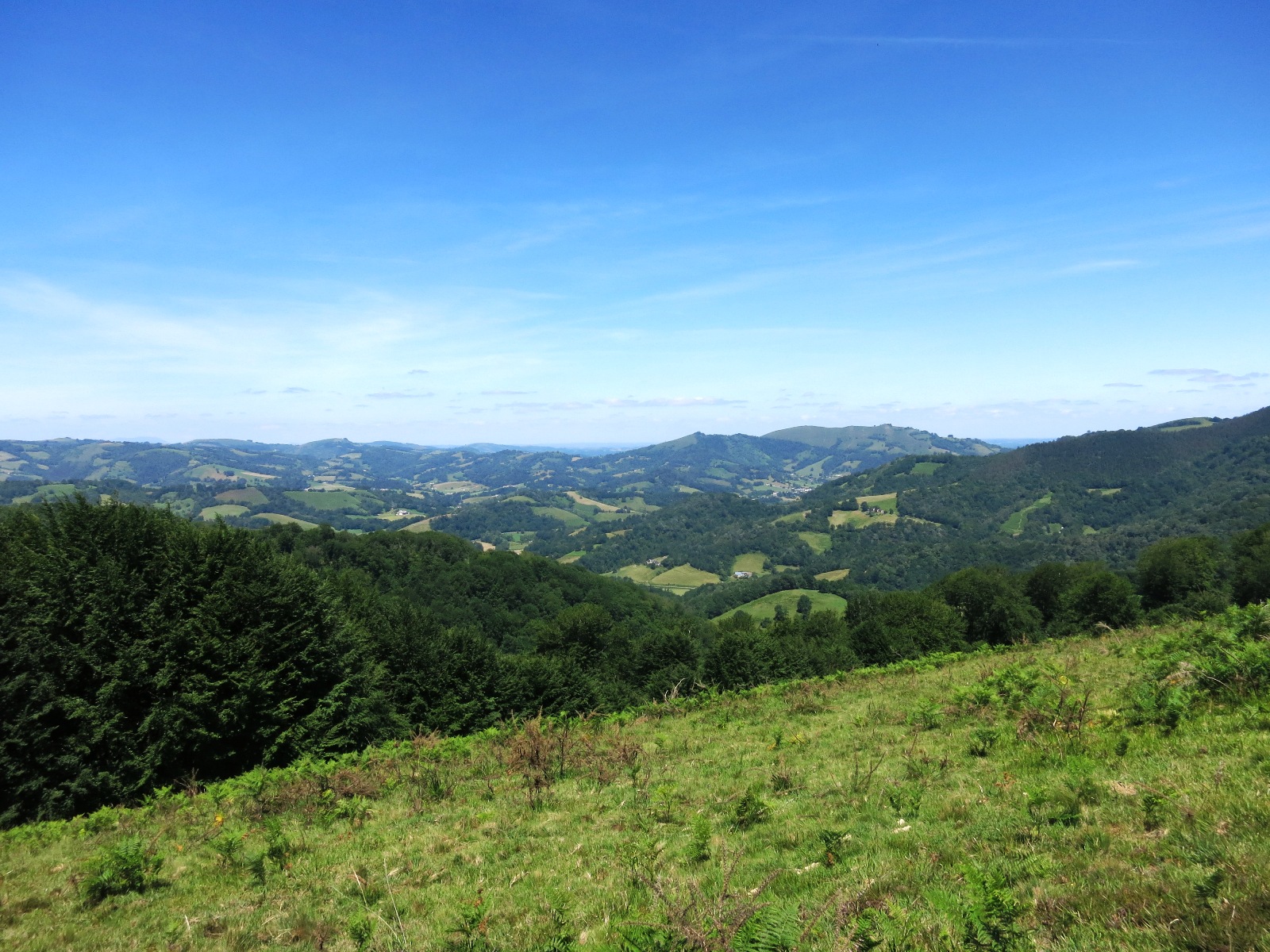 N°7 Barétous - Bois de Gouloume, Aramits - photo 6