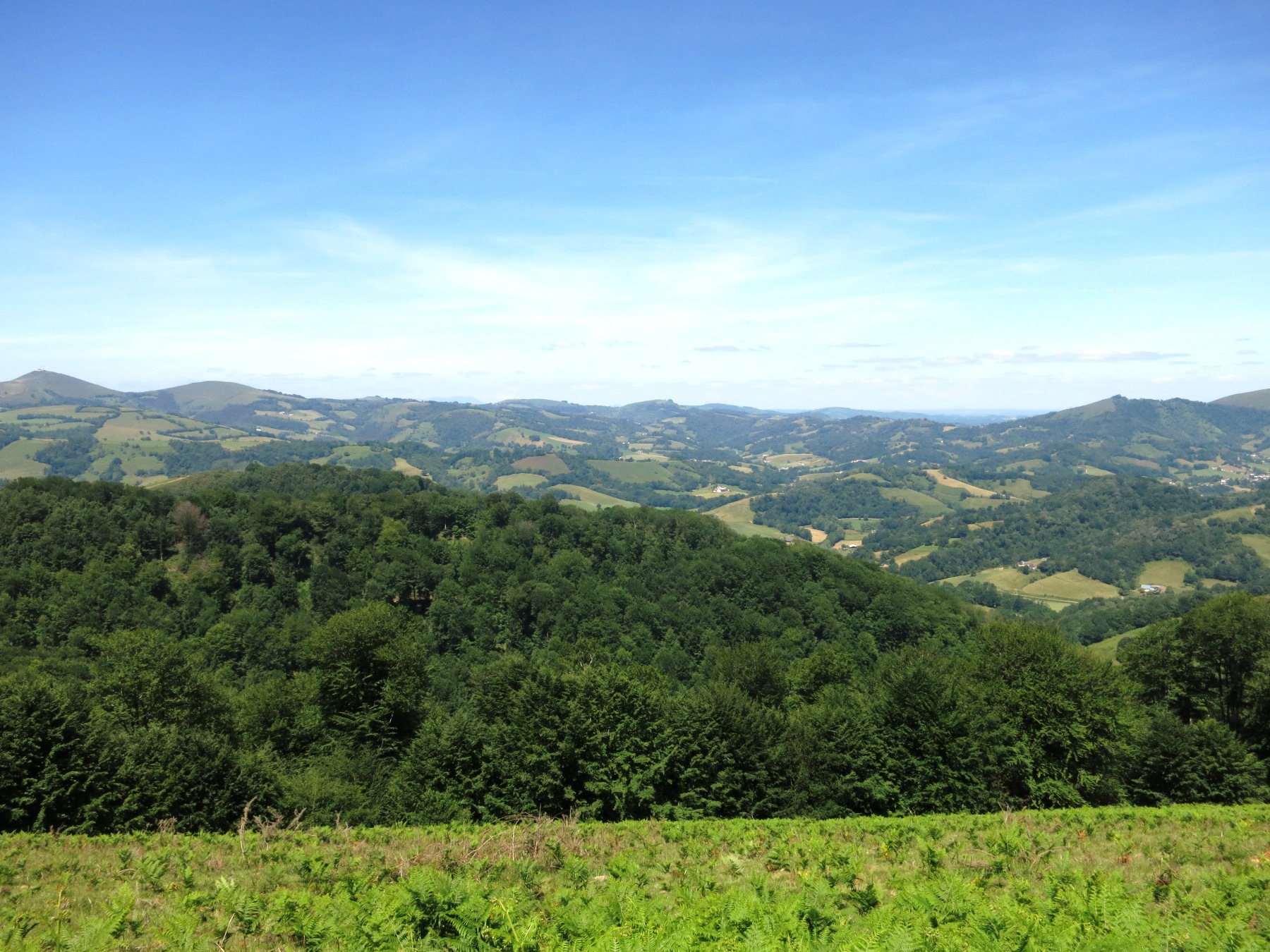 N°7 Barétous - Bois de Gouloume, Aramits - photo 2
