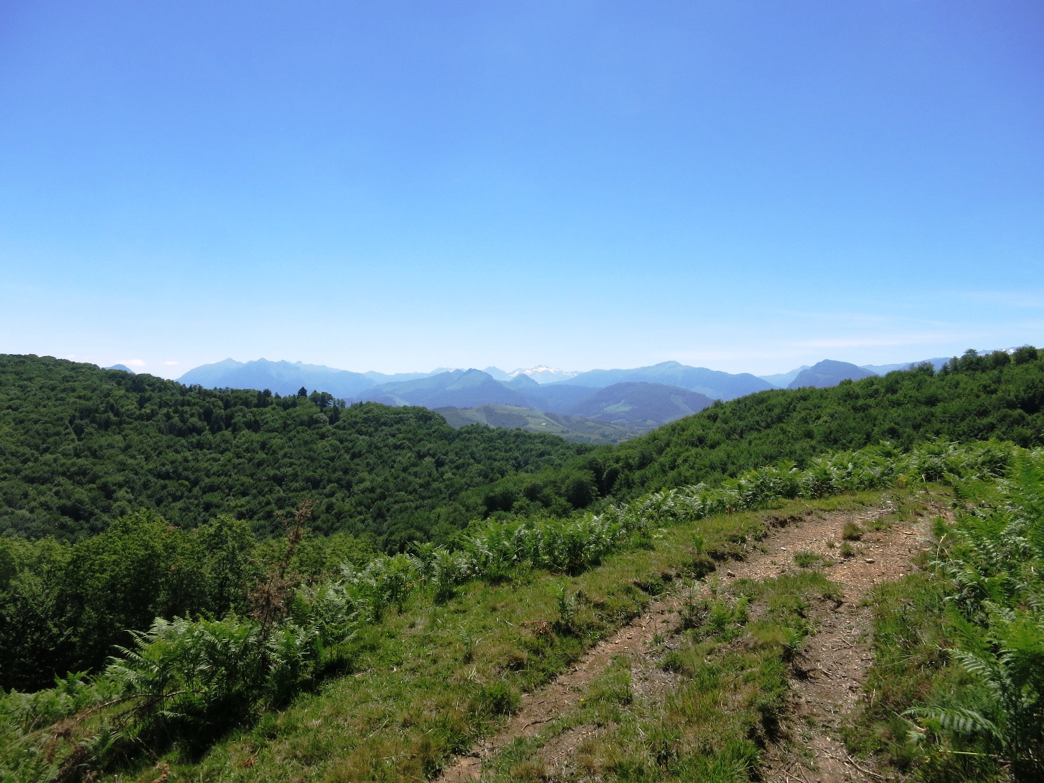 N°7 Barétous - Bois de Gouloume, Aramits - photo 19