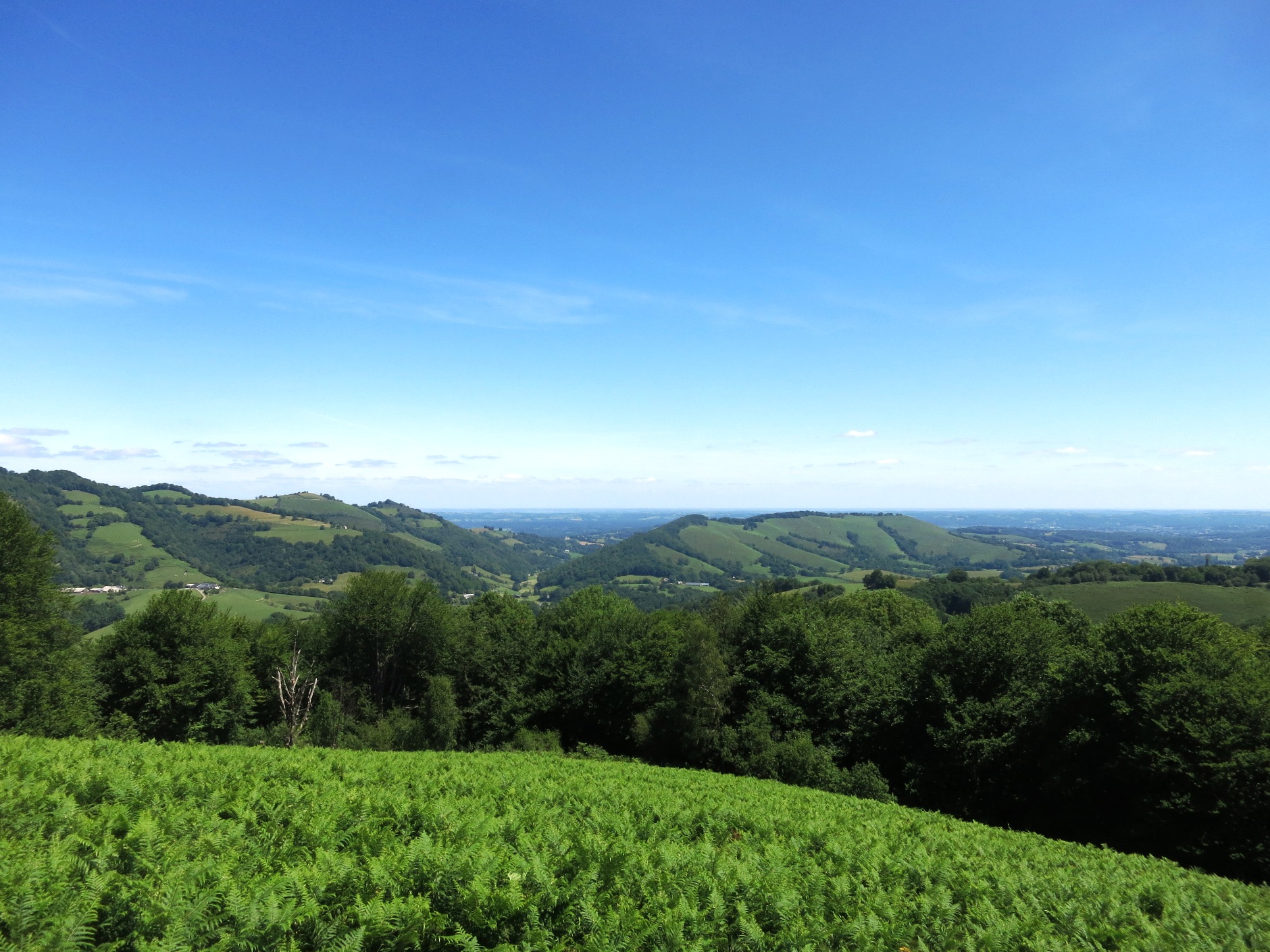 N°7 Barétous - Bois de Gouloume, Aramits - photo 22
