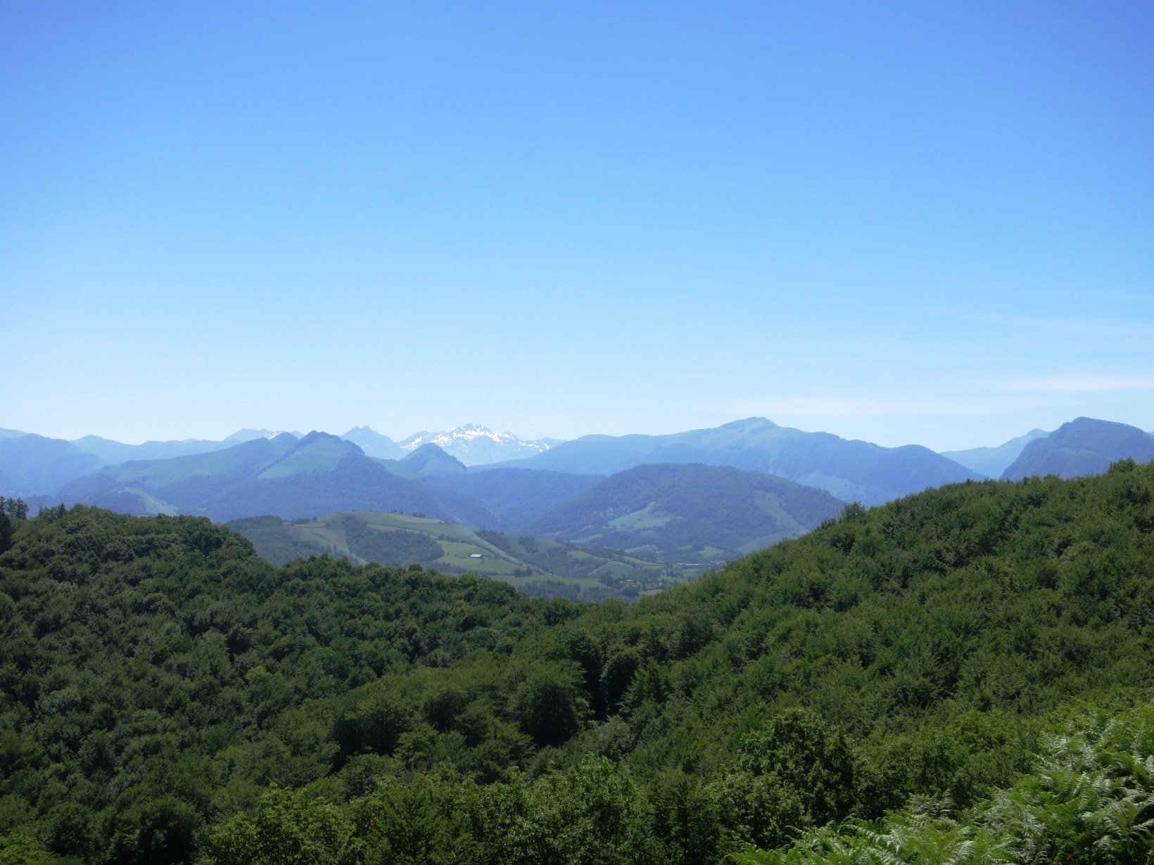 N°7 Barétous - Bois de Gouloume, Aramits