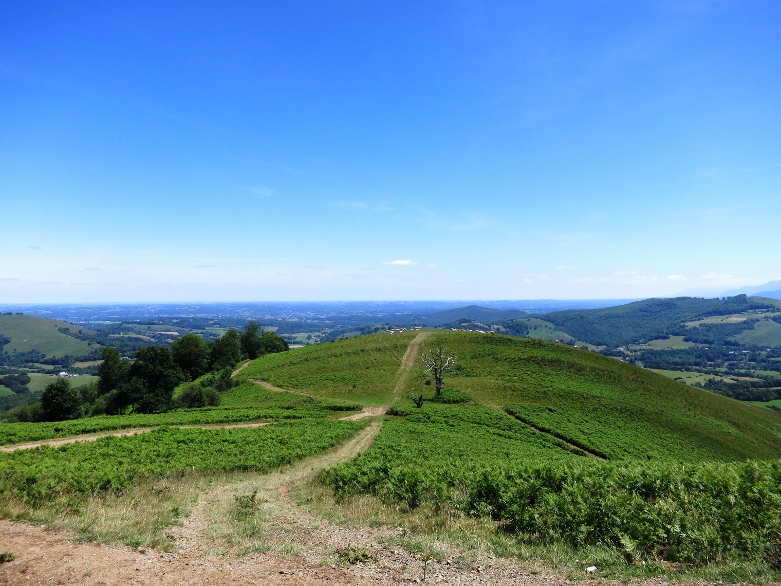 N°7 Barétous - Bois de Gouloume, Aramits - photo 16