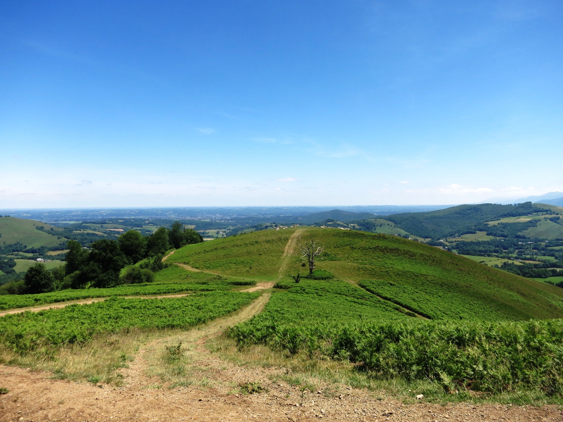 N°7 Barétous - Bois de Gouloume, Aramits - photo 3