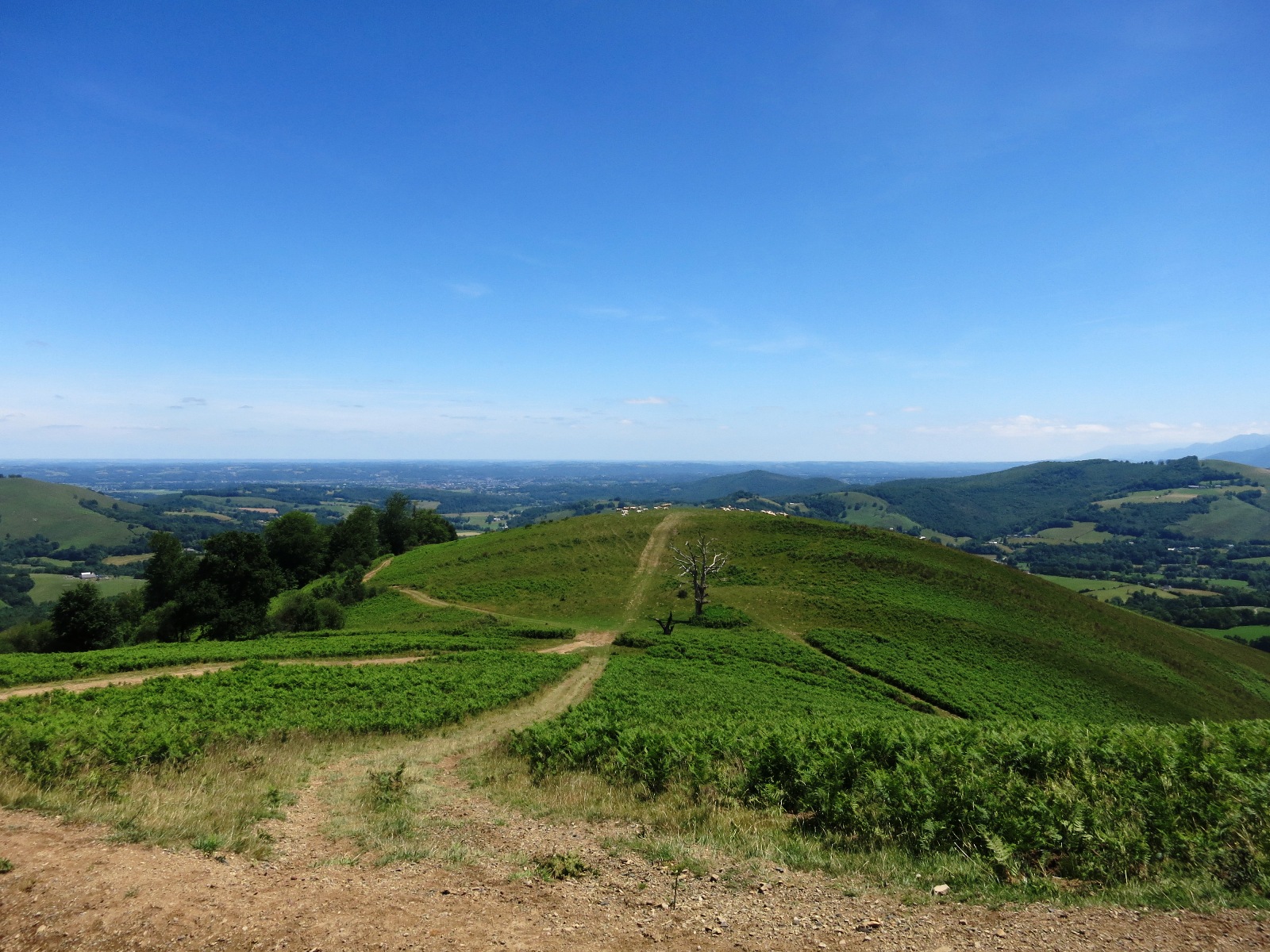 N°7 Barétous - Bois de Gouloume, Aramits - photo 5