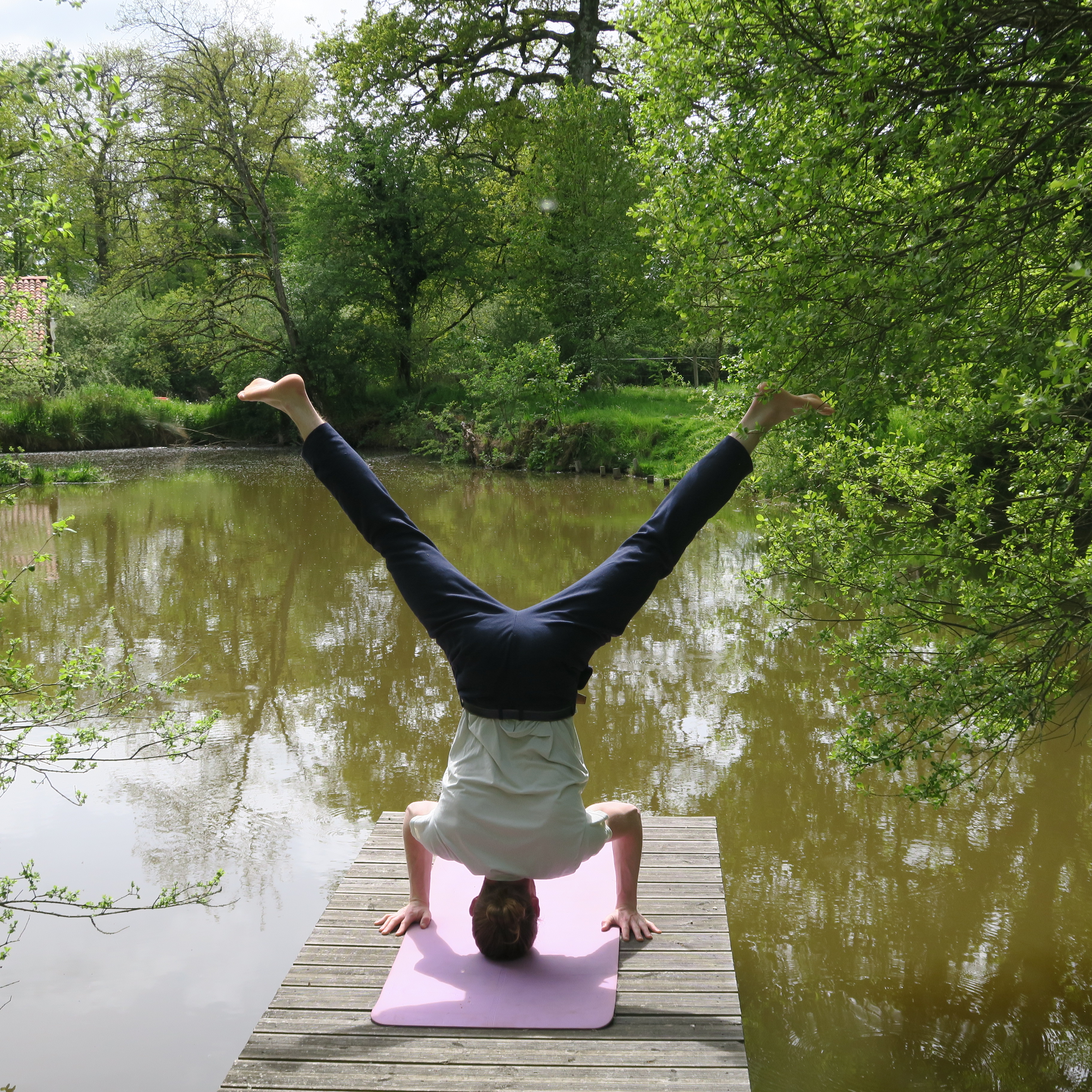 Sérénité Verte à la Tuilerie, La Bazeuge - photo 16