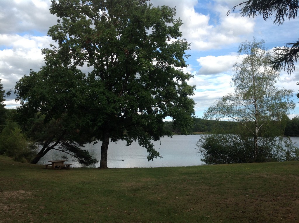 Aire de pique-nique du Lac du Coiroux - photo 2