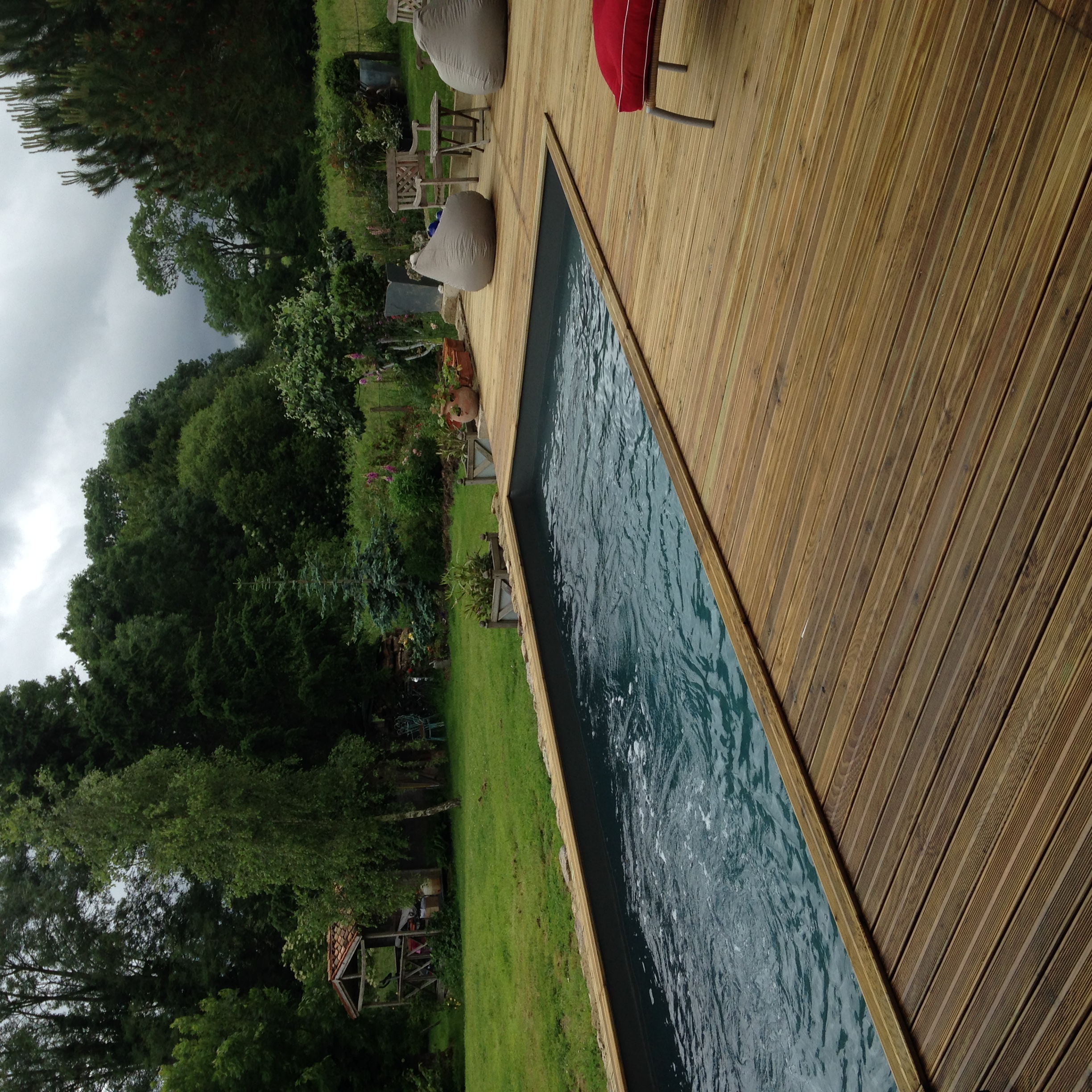 Les épis du vent, Adilly - photo 20