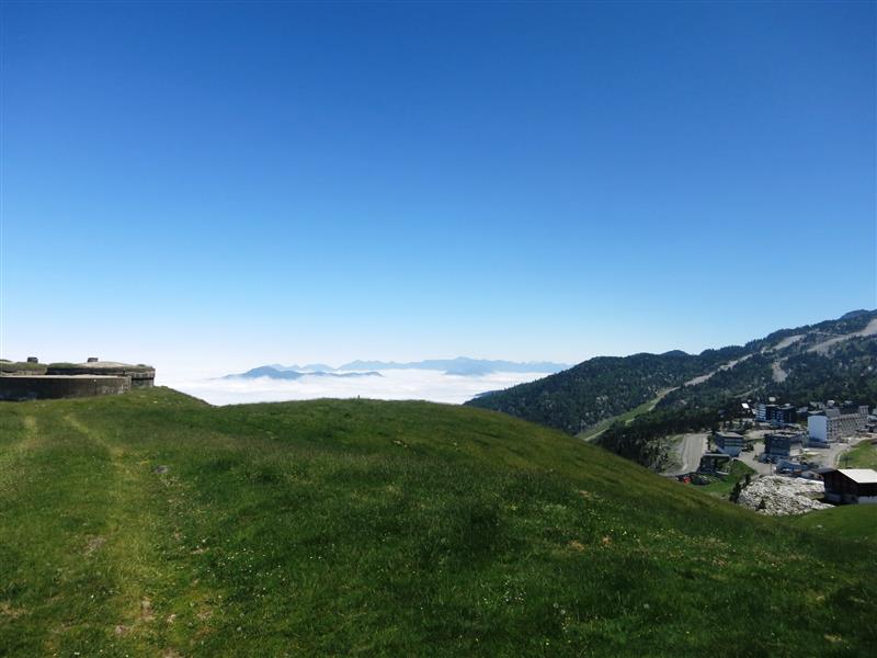 N°14 Barétous - Tête Sauvage 