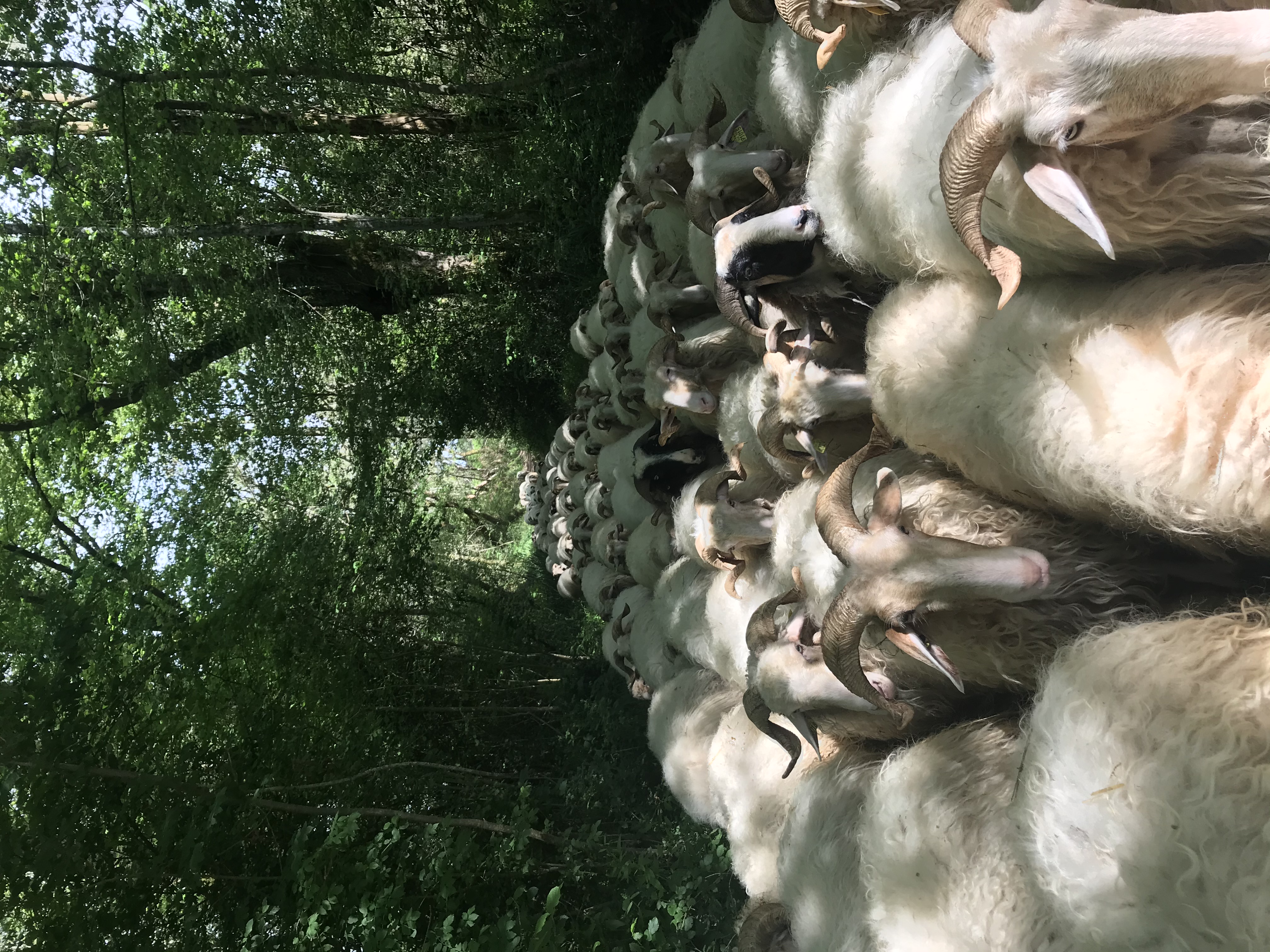 Ferme Péhosse