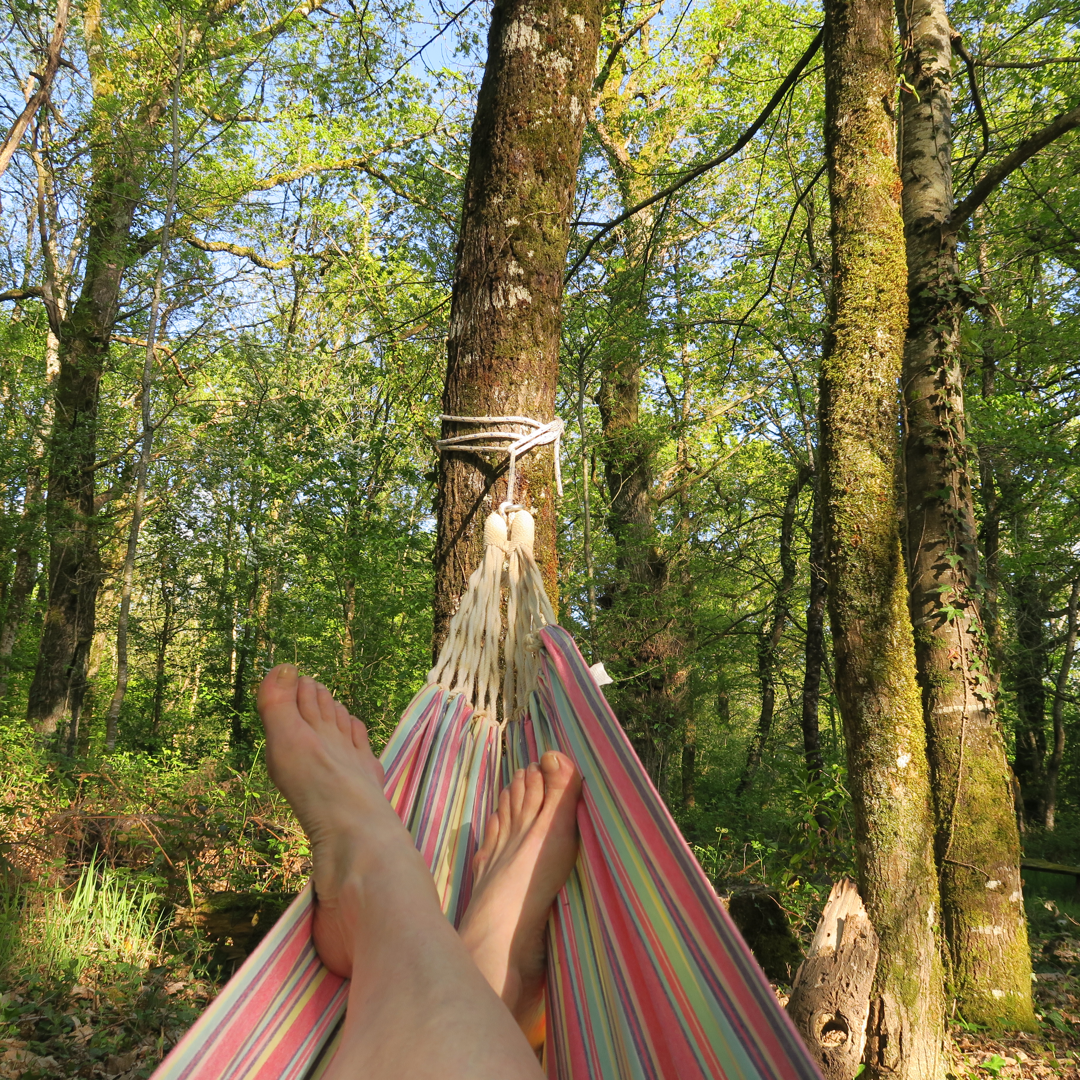 Sérénité Verte à la Tuilerie - photo 3