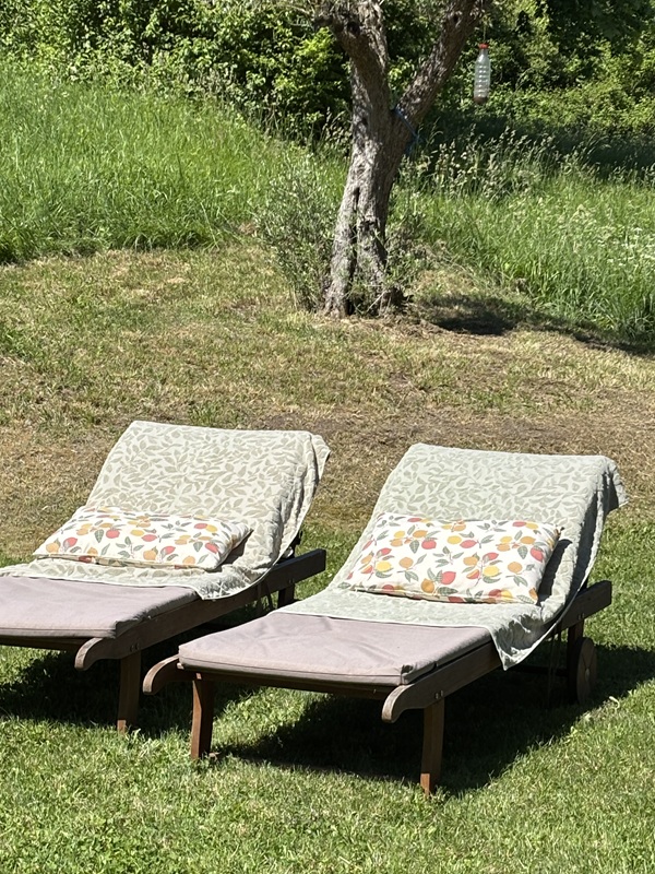 Les Fugues de Tosca, Pineuilh - photo 12