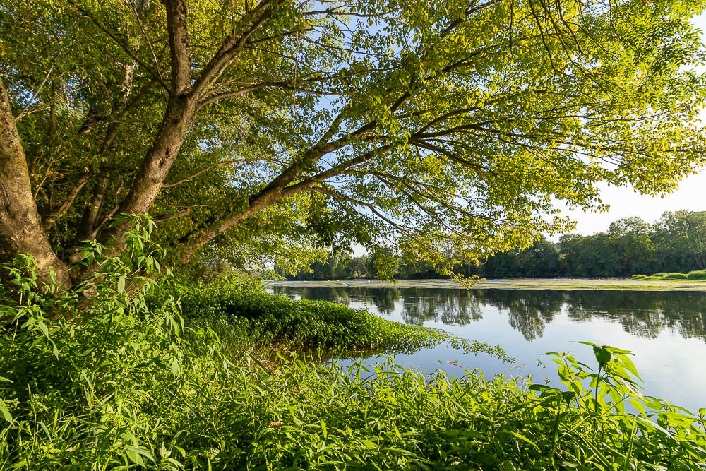 La Traverse, Persac - photo 7
