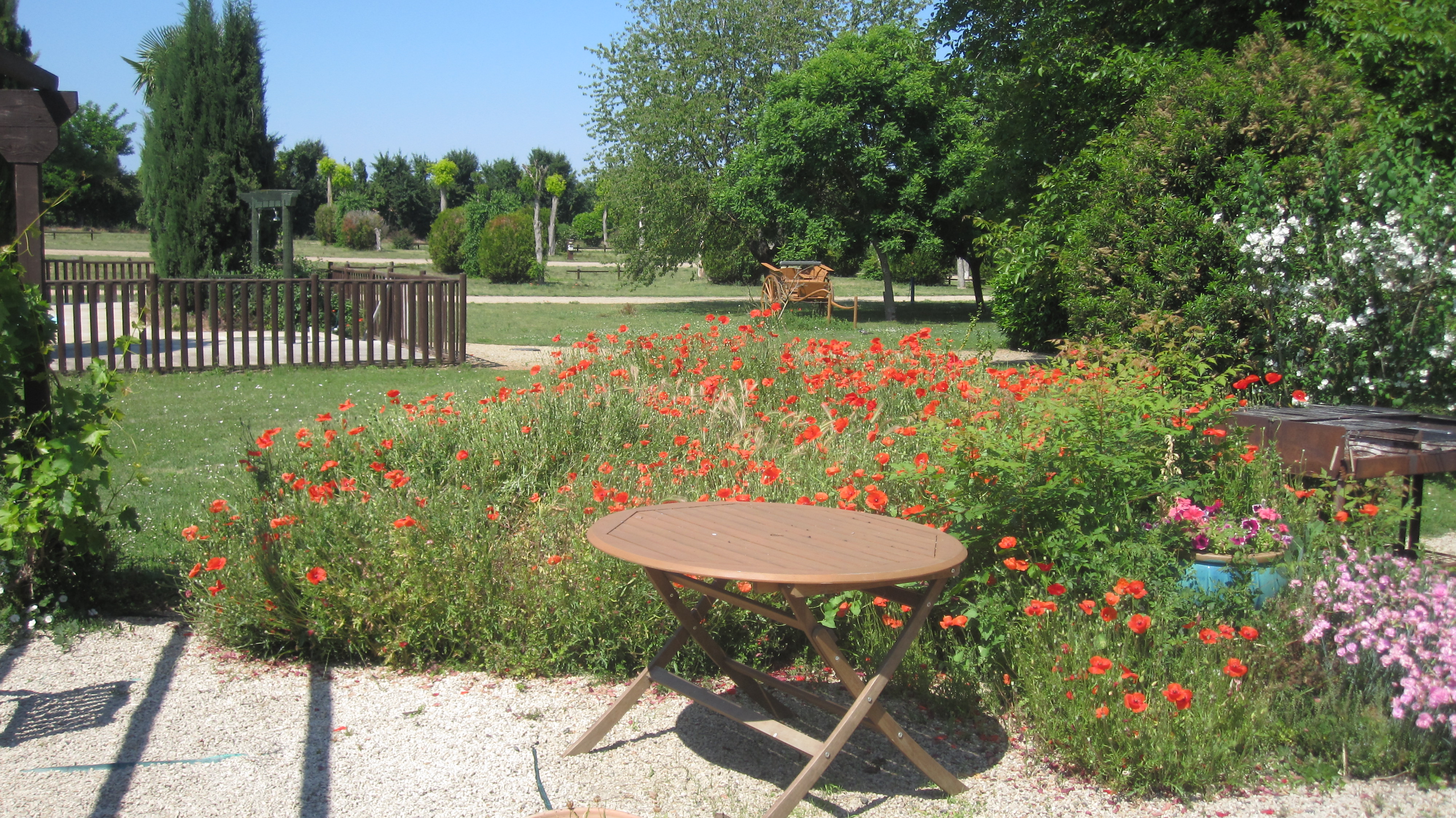 Camping de Courte Vallée - photo 4