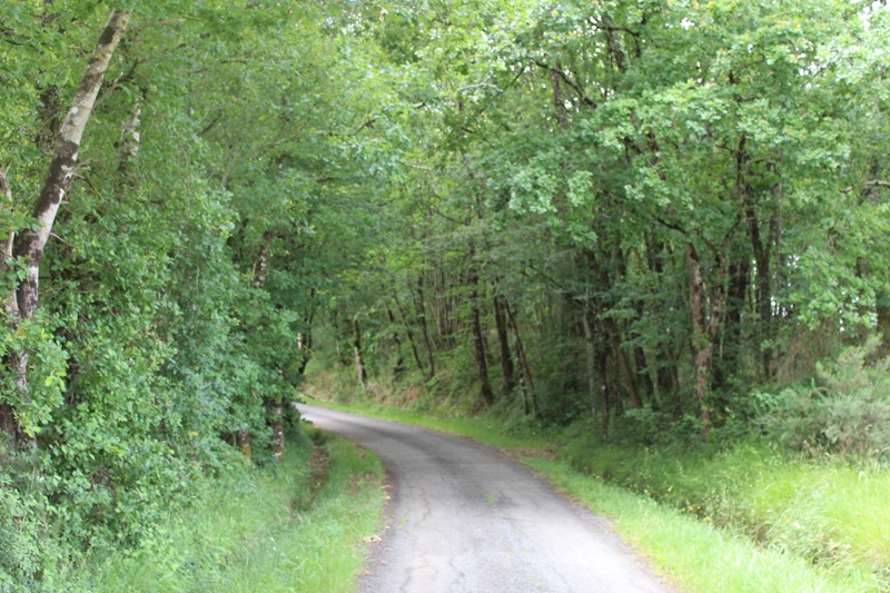 Circuit du Pin Franc de Pellegrue — photo 2