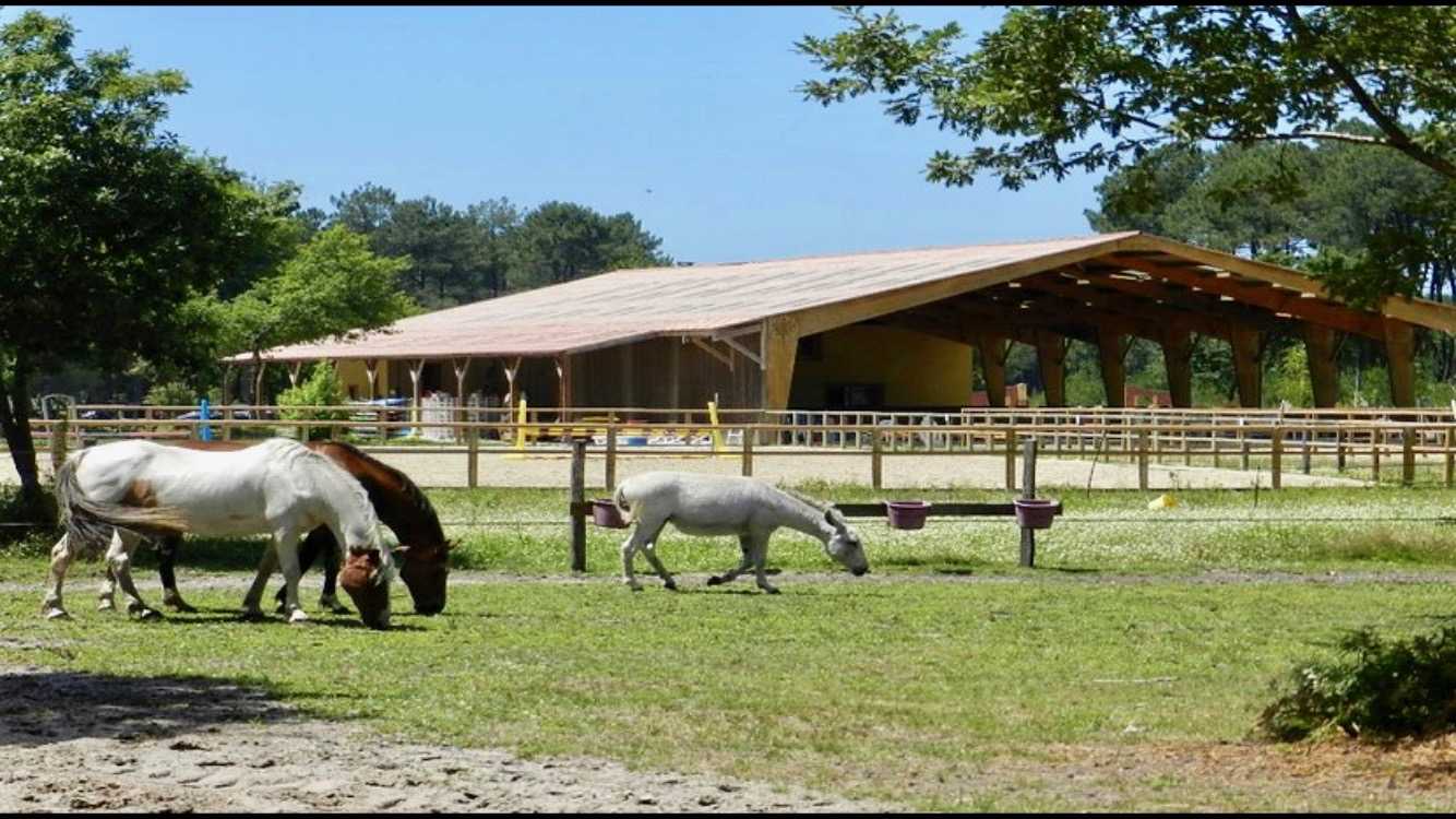 Les Ecuries de l'Hacienda, Parentis-en-Born - photo 2