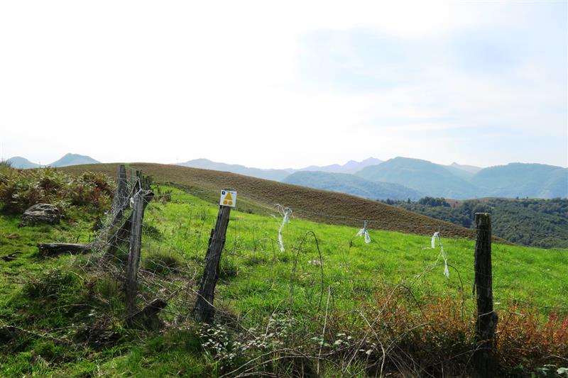 VTT N°1 -  Piémont de Barétous