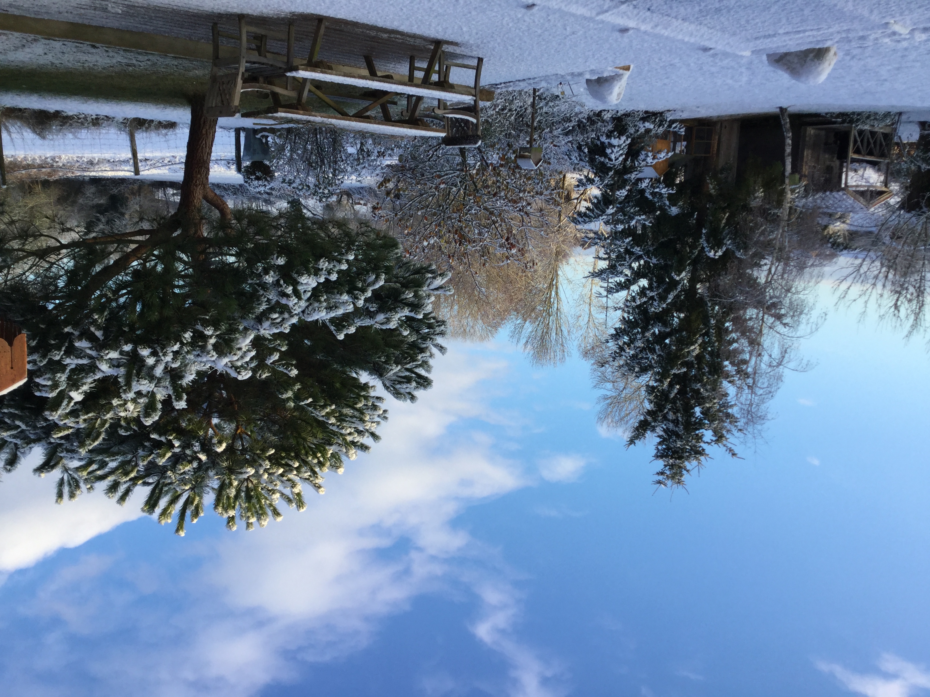 Les épis du vent, Adilly - photo 16