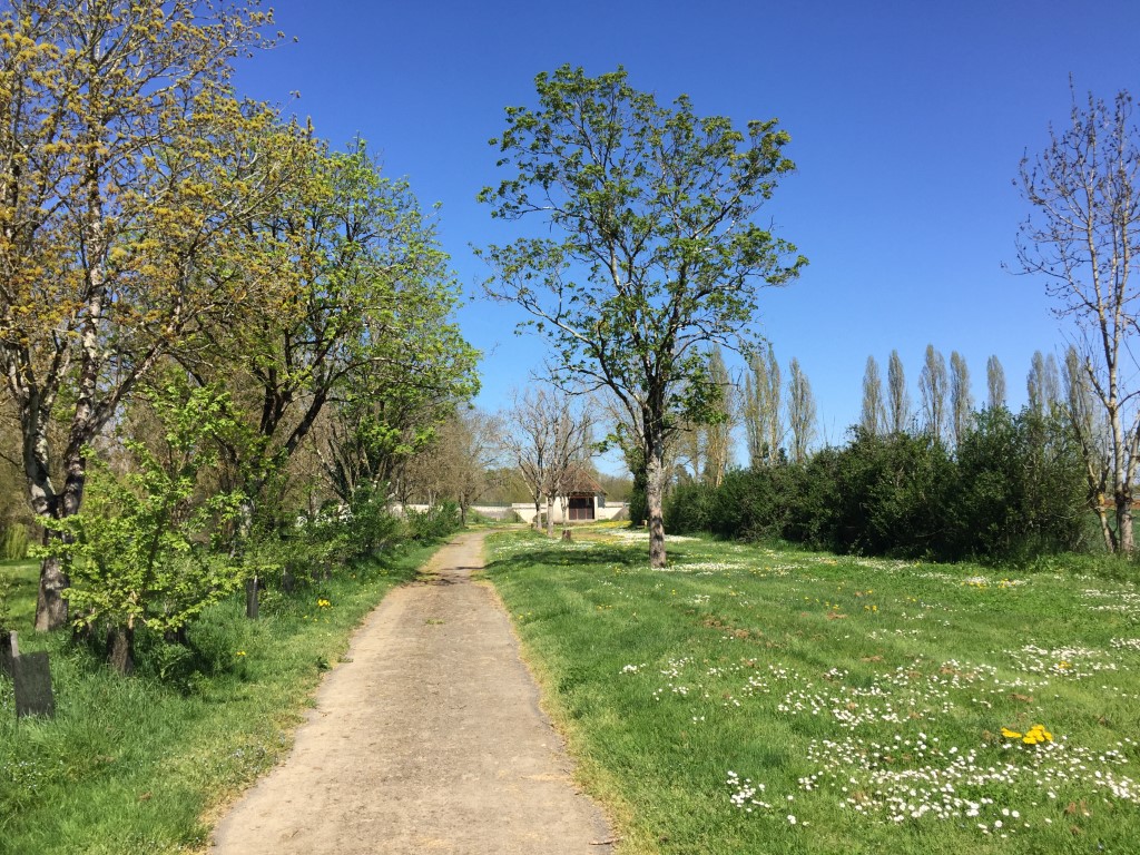 Aire de la Guillonerie