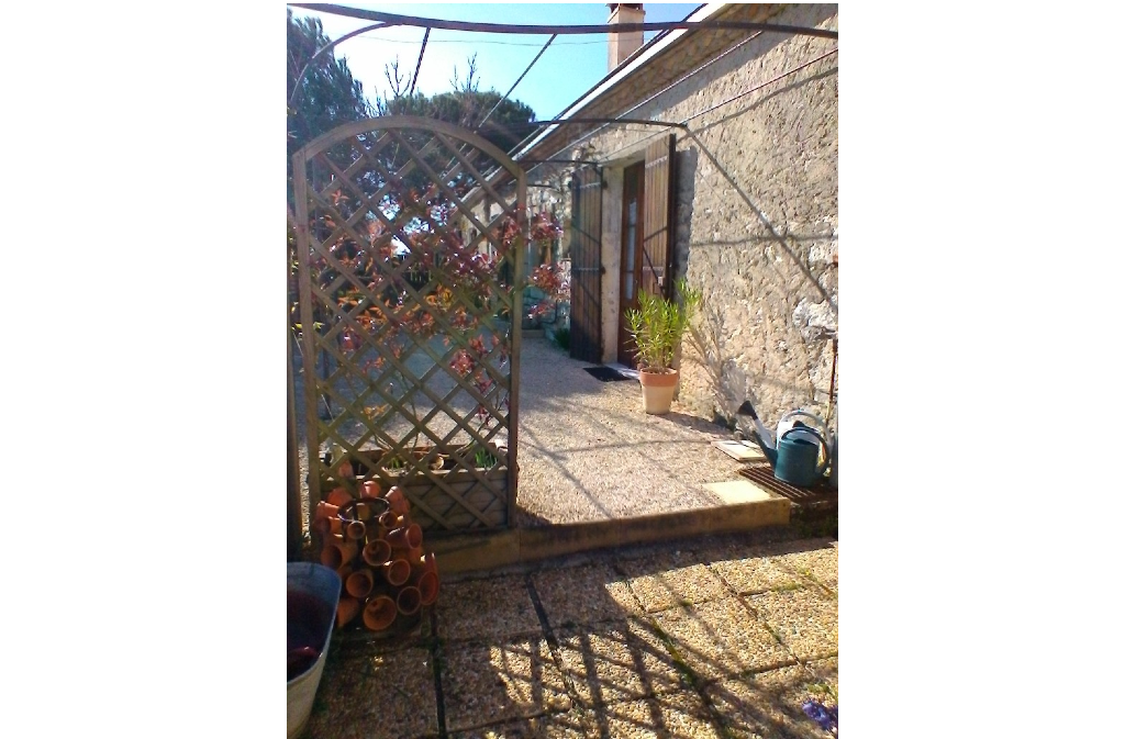 Les Hortensias - photo 5