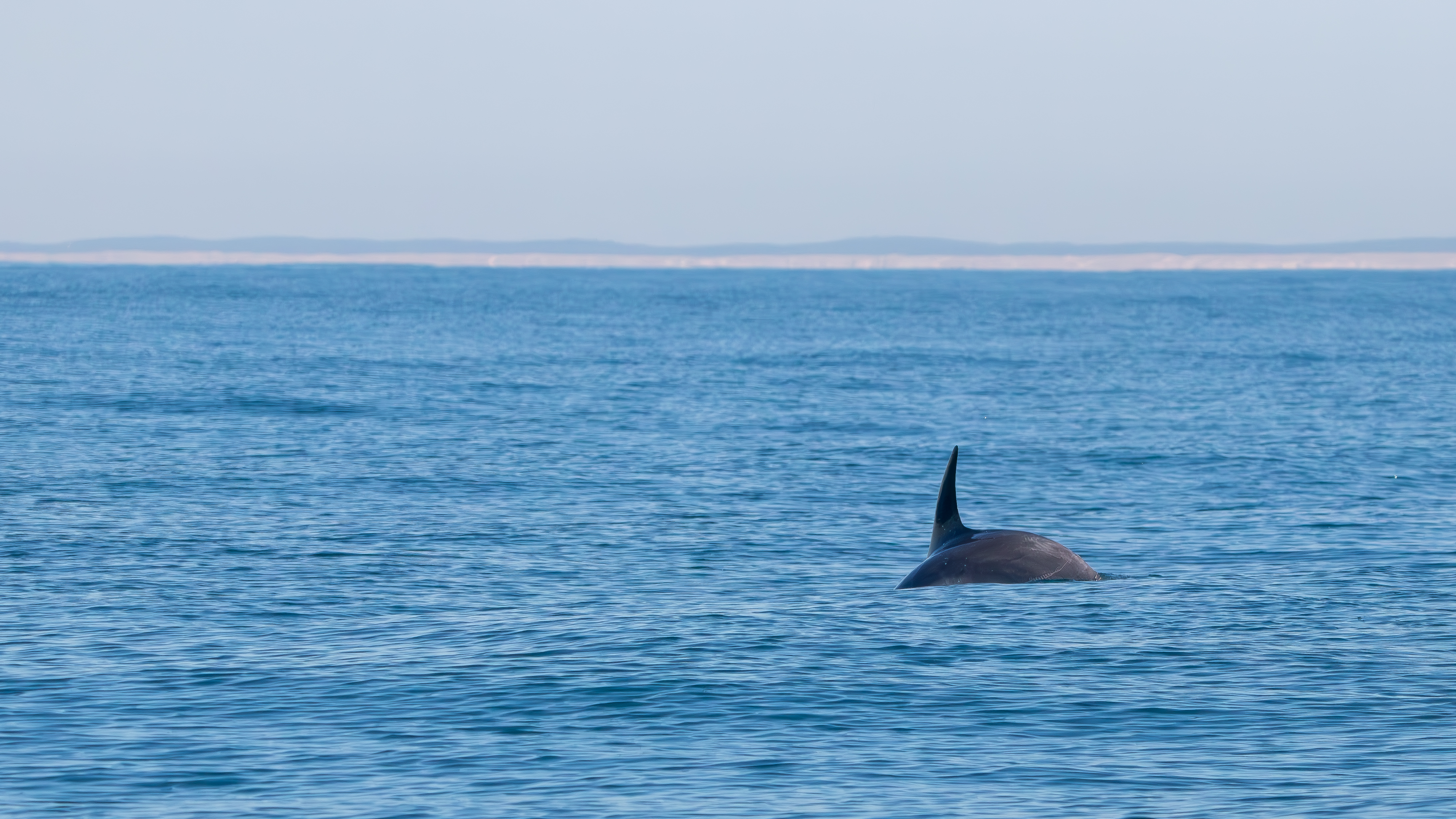 Au delà du Bassin, Lège-Cap-Ferret - photo 6
