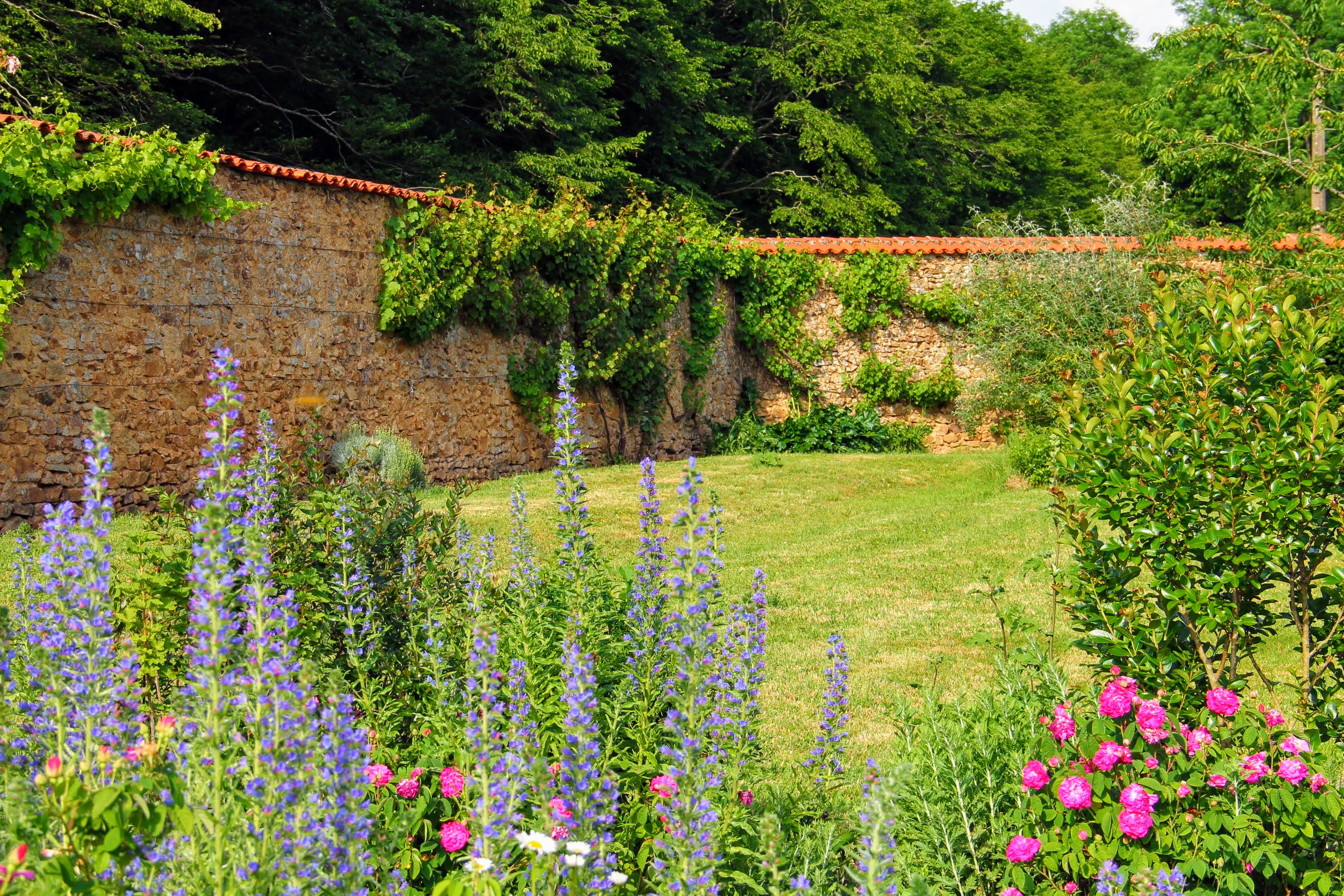 Domaine des Roches Blanches, Le Pin - photo 10